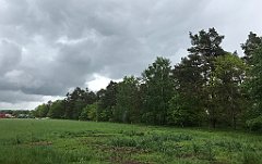 251_iP_220531_IMG_5731