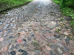 259_iP_220531_IMG_5741