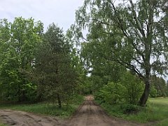 273_iP_220531_IMG_5757