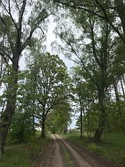 274_iP_220531_IMG_5758