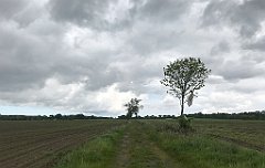 312_iP_220531_IMG_5790