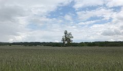 342_iP_220531_IMG_5826