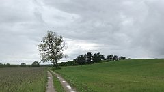 343_iP_220531_IMG_5827