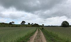 356_iP_220531_IMG_5835