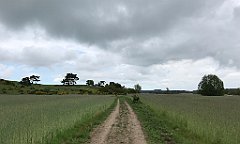 357_iP_220531_IMG_5836