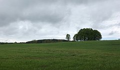 358_iP_220531_IMG_5837