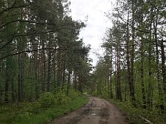 363_iP_220531_IMG_5844