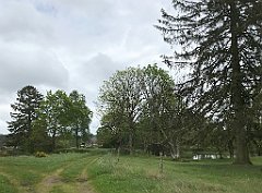 368_iP_220531_IMG_5846