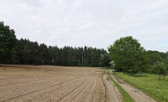 397_p20_IMG_20220531_153715