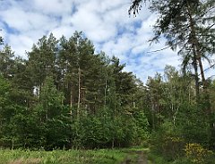 401_iP_220531_IMG_5872