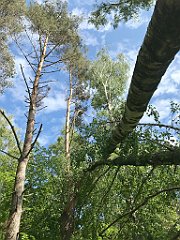 413_iP_220531_IMG_5876