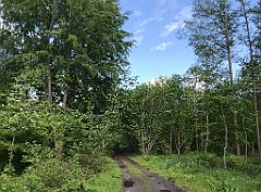 423_iP_220531_IMG_5890