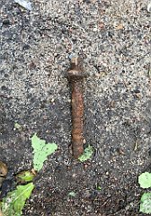 427_iP_220531_IMG_5895