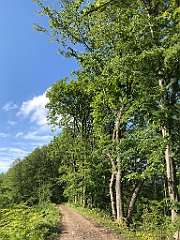 430_iP_220531_IMG_5898