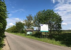 436_iP_220531_IMG_5905