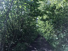 439_iP_220531_IMG_5907