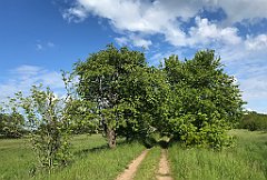 444_iP_220531_IMG_5912