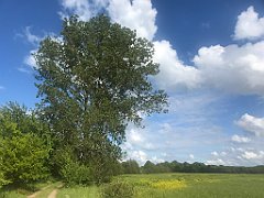 445_iP_220531_IMG_5913