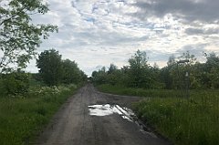 464_iP_220531_IMG_5935