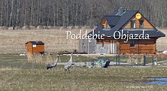 2022_03_20_Poddebie_Objazda