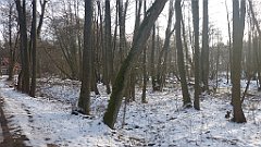 014_0032_3D_P1380377