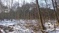 017_0041_3D_P1380380