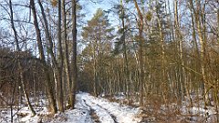 018_0044_3D_P1380381