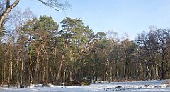 030_0080_3D_P1380391