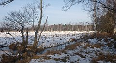 050_0140_3D_P1380408