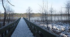 068_0194_3D_P1380427