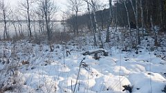 069_0197_3D_P1380428