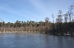 136_0392_iP_230209_IMG_6577