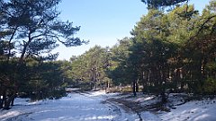 138_0404_3D_P1380455