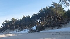 181_0533_3D_P1380478