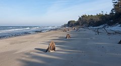 184_0542_3D_P1380481