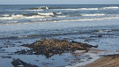 190_0560_3D_P1380487