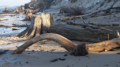 203_0599_3D_P1380497