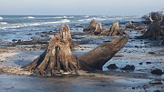 204_0602_3D_P1380498