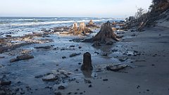 205_0605_3D_P1380499