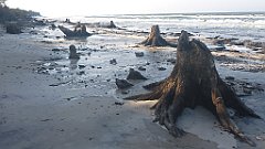 208_0614_3D_P1380502