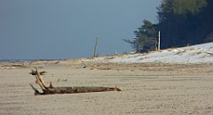 243_0719_FZ72_P1080090