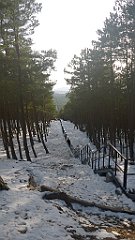 275_0809_3D_P1380525