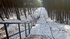 277_0821_3D_P1380529