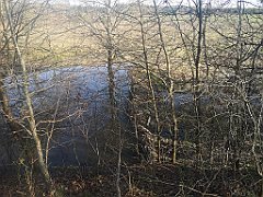 020_p20_IMG_20230406_174301