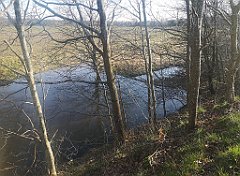 025_p20_IMG_20230406_174355