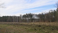 026_p20_IMG_20230414_164118