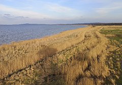 101_p20_IMG_20230414_181653