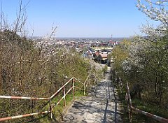 018_p20_IMG_20230423_122832