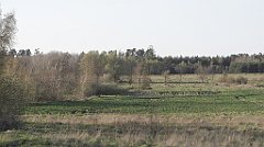 114_IMG_x60356