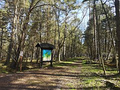 033_p20_IMG_20230430_093253